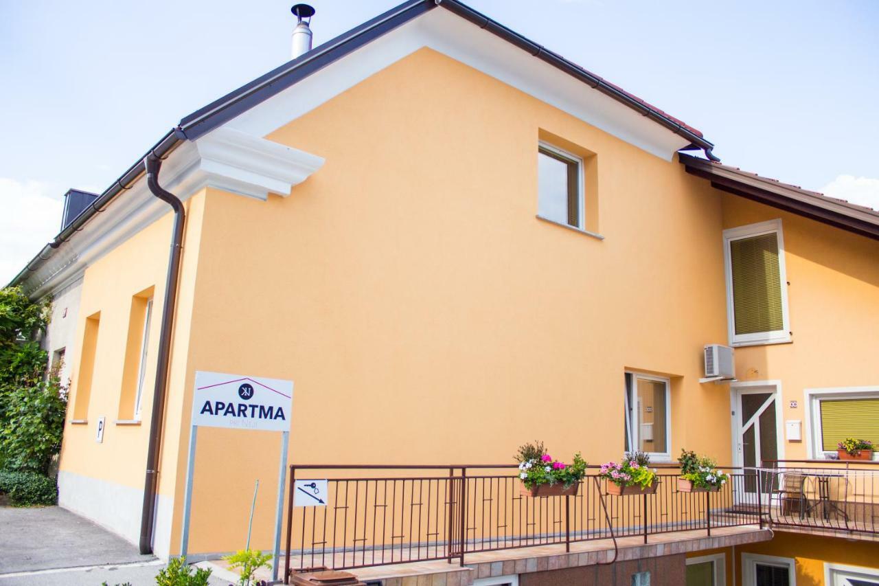 Pri Neji Apartment Postojna Exterior photo